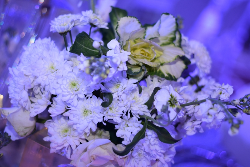 Wedding of Abbas Chamssedine and Manal Safa Part2